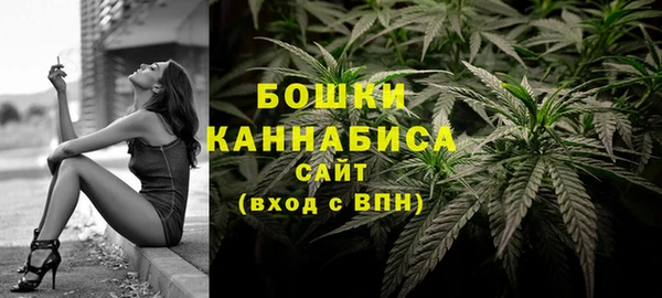 гидропоника Няндома