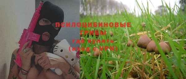 МДПВ Нязепетровск