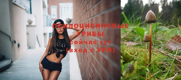 МДПВ Нязепетровск