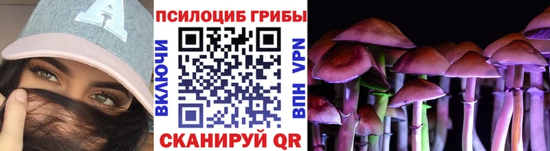 Купить  Кушва  Псилоцибиновые грибы Psilocybe 